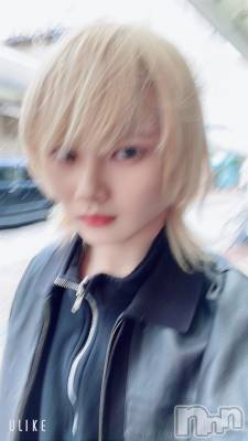 ��Į�ۥ��ȡ��ܡ������С�A151(�����������ݥ���) ��򥷥��1��10���̥�֥�����ʷ�ϵ���