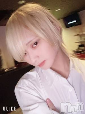 ��Į�ۥ��ȡ��ܡ������С�A151(�����������ݥ���) ��򥷥��1��15���̥�֥����֤դ��С����ǡ���