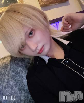 ��Į�ۥ��ȡ��ܡ������С�A151(�����������ݥ���) ��򥷥��1��16���̥�֥�����16����