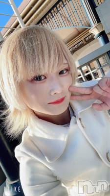 ��Į�ۥ��ȡ��ܡ������С�A151(�����������ݥ���) ��򥷥��1��19���̥�֥����ִ��������ĤŤ���