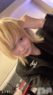 ��Į�ۥ��ȡ��ܡ������С�A151(�����������ݥ���) ��򥷥��1��22���̥�֥������ܤ����Ǥ��