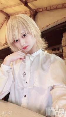 ��Į�ۥ��ȡ��ܡ������С�A151(�����������ݥ���) ��򥷥��1��24���̥�֥����������ϥ磻����������