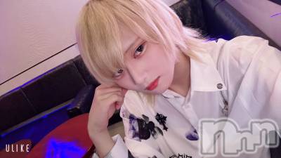 ��Į�ۥ��ȡ��ܡ������С�A151(�����������ݥ���) ��򥷥��1��29���̥�֥���������������