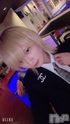 ��Į�ۥ��ȡ��ܡ������С�A151(�����������ݥ���) ��򥷥��1��31���̥�֥�����������������