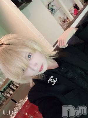 ��Į�ۥ��ȡ��ܡ������С�A151(�����������ݥ���) ��򥷥��2��7���̥�֥����֥֥����ġ�