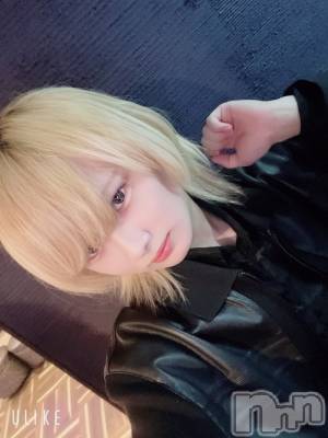 ��Į�ۥ��ȡ��ܡ������С�A151(�����������ݥ���) ��򥷥��2��9���̥�֥���������Ƥʤ���������Ƥ͡�