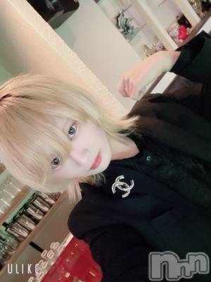 ��Į�ۥ��ȡ��ܡ������С�A151(�����������ݥ���) ��򥷥��2��12���̥�֥����ֽжФ�����