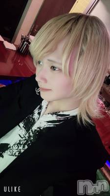 ��Į�ۥ��ȡ��ܡ������С�A151(�����������ݥ���) ��򥷥��2��13���̥�֥�������������