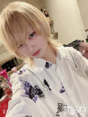 ��Į�ۥ��ȡ��ܡ������С�A151(�����������ݥ���) ��򥷥��2��15���̥�֥�����ȱ����Ƥ�����