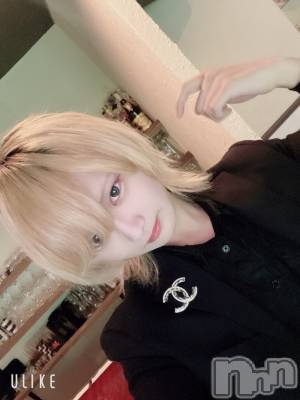 ��Į�ۥ��ȡ��ܡ������С�A151(�����������ݥ���) ��򥷥��2��17���̥�֥����ֲ�����������