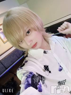 ��Į�ۥ��ȡ��ܡ������С�A151(�����������ݥ���) ��򥷥��2��23���̥�֥�����������٤ߡ�����