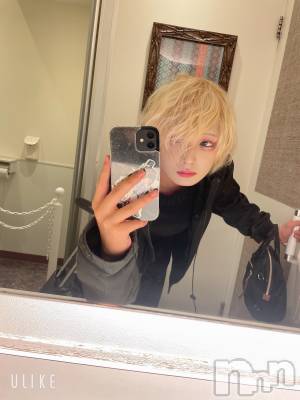 ��Į�ۥ��ȡ��ܡ������С�A151(�����������ݥ���) ��򥷥��2��26���̥�֥������Τμ̥��