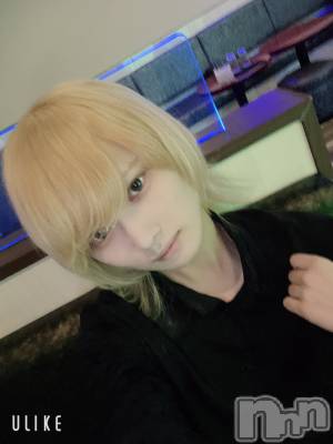 ��Į�ۥ��ȡ��ܡ������С�A151(�����������ݥ���) ��򥷥��2��28���̥�֥���������������