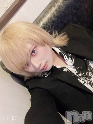 ��Į�ۥ��ȡ��ܡ������С�A151(�����������ݥ���) ��򥷥��3��2���̥�֥����֣�������