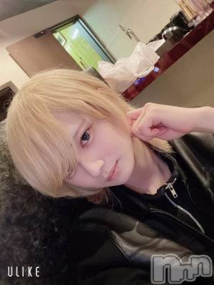 ��Į�ۥ��ȡ��ܡ������С�A151(�����������ݥ���) ��򥷥��3��3���̥�֥����ֻŻ����ޤ���