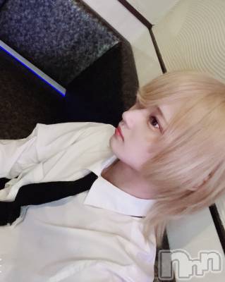 ��Į�ۥ��ȡ��ܡ������С�A151(�����������ݥ���) ��򥷥��3��8���̥�֥����֤�����������