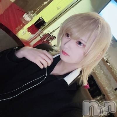 ��Į�ۥ��ȡ��ܡ������С�A151(�����������ݥ���) ��򥷥��3��13���̥�֥����ִ�ĥ������