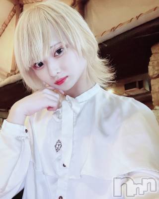 ��Į�ۥ��ȡ��ܡ������С�A151(�����������ݥ���) ��򥷥��3��15���̥�֥����ְߤ⤿�줷�Ƥ��