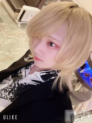 ��Į�ۥ��ȡ��ܡ������С�A151(�����������ݥ���) ��򥷥��3��28���̥�֥����ֻŻ����뤾��