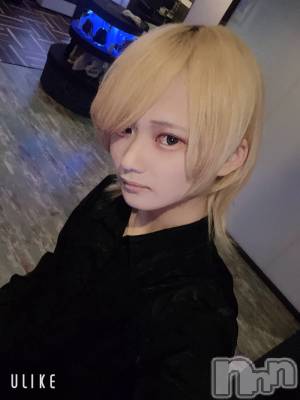 ��Į�ۥ��ȡ��ܡ������С�A151(�����������ݥ���) ��򥷥��3��30���̥�֥�������������������