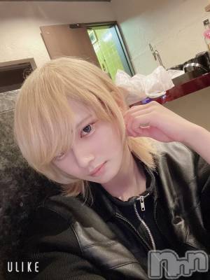 ��Į�ۥ��ȡ��ܡ������С�A151(�����������ݥ���) ��򥷥��4��2���̥�֥�����4�������