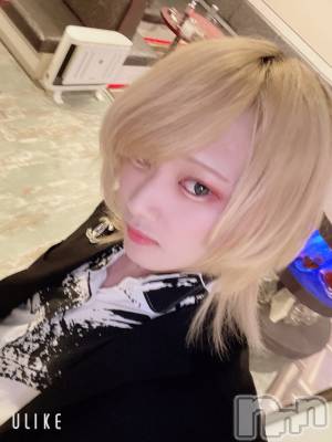 ��Į�ۥ��ȡ��ܡ������С�A151(�����������ݥ���) ��򥷥��4��3���̥�֥����ֽжФ�����