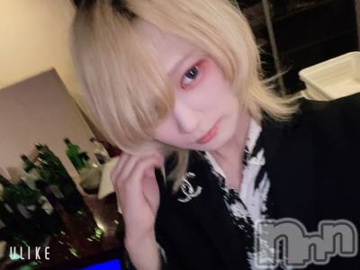 ��Į�ۥ��ȡ��ܡ������С�A151(�����������ݥ���) ��򥷥��4��9���̥�֥����֤�����������ľ����