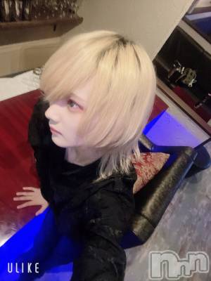 ��Į�ۥ��ȡ��ܡ������С�A151(�����������ݥ���) ��򥷥��4��14���̥�֥����֥ɡ��ѥߥ����ǡ�