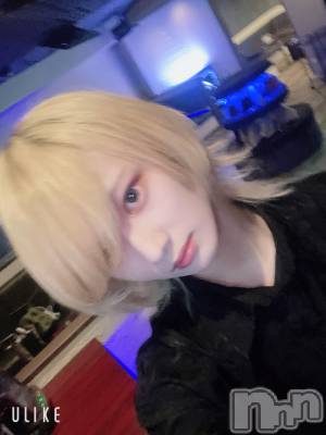 ��Į�ۥ��ȡ��ܡ������С�A151(�����������ݥ���) ��򥷥��4��16���̥�֥����֤֤�֤����