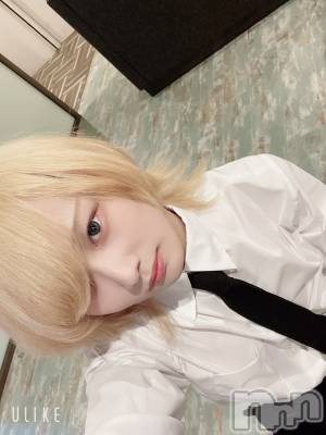 ��Į�ۥ��ȡ��ܡ������С�A151(�����������ݥ���) ��򥷥��5��7���̥�֥�����GW��������