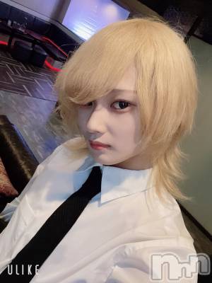 ��Į�ۥ��ȡ��ܡ������С�A151(�����������ݥ���) ��򥷥��5��10���̥�֥����֥ǥȥå���������