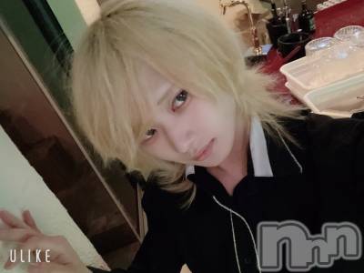 ��Į�ۥ��ȡ��ܡ������С�A151(�����������ݥ���) ��򥷥��5��15���̥�֥����֤�����