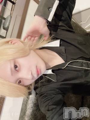 ��Į�ۥ��ȡ��ܡ������С�A151(�����������ݥ���) ��򥷥��6��2���̥�֥��������������꤬�Ȥ���