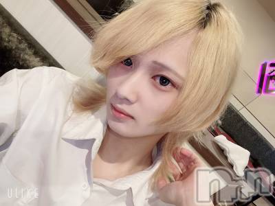 ��Į�ۥ��ȡ��ܡ������С�A151(�����������ݥ���) ��򥷥��6��7���̥�֥����֤ݤ�衼���