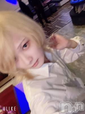 ��Į�ۥ��ȡ��ܡ������С�A151(�����������ݥ���) ��򥷥��6��8���̥�֥�����æ�ӤعԤ���