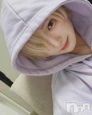 ��Į�ۥ��ȡ��ܡ������С�A151(�����������ݥ���) ��򥷥��6��13���̥�֥����ֶ�ȱ�Ͻ�����