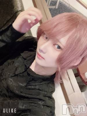 ��Į�ۥ��ȡ��ܡ������С�A151(�����������ݥ���) ��򥷥��6��16���̥�֥�����Ź������