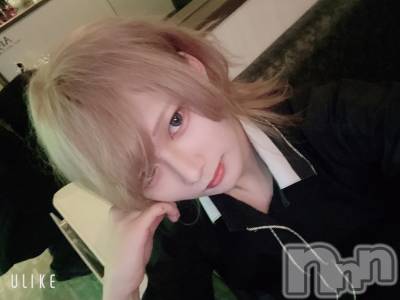 ��Į�ۥ��ȡ��ܡ������С�A151(�����������ݥ���) ��򥷥��6��19���̥�֥����ּ���⤦��