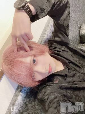 ��Į�ۥ��ȡ��ܡ������С�A151(�����������ݥ���) ��򥷥��6��20���̥�֥����ְ��ߤ��Ƥ����