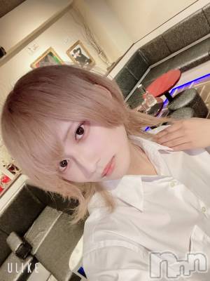 ��Į�ۥ��ȡ��ܡ������С�A151(�����������ݥ���) ��򥷥��6��21���̥�֥����ְ�����