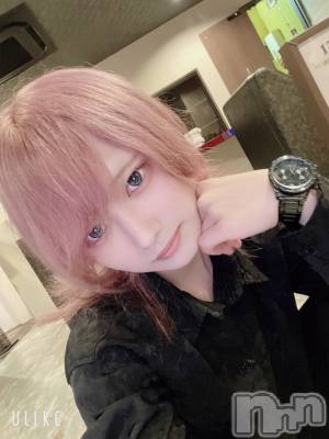 ��Į�ۥ��ȡ��ܡ������С�A151(�����������ݥ���) ��򥷥��6��22���̥�֥����ֿ�������Ƥ�����