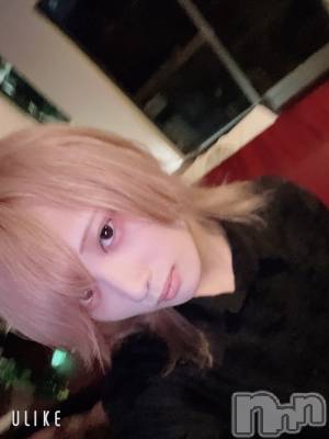 ��Į�ۥ��ȡ��ܡ������С�A151(�����������ݥ���) ��򥷥��6��23���̥�֥����ְ��⤦��