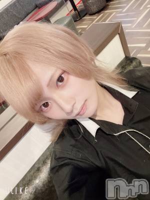 ��Į�ۥ��ȡ��ܡ������С�A151(�����������ݥ���) ��򥷥��6��25���̥�֥�����Ź��ơ�