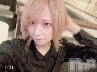 ��Į�ۥ��ȡ��ܡ������С�A151(�����������ݥ���) ��򥷥��6��26���̥�֥�����⚫︎ʪ���Ǽԡ�