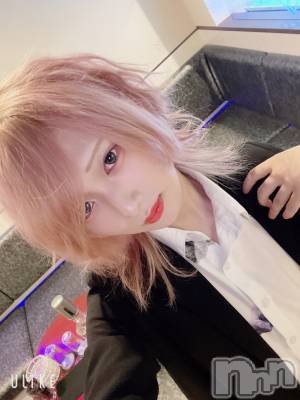 ��Į�ۥ��ȡ��ܡ������С�A151(�����������ݥ���) ��򥷥��7��11���̥�֥����֤��塪������