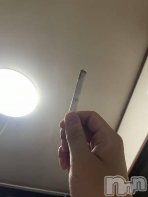 ��Į�ۥ��ȡ��ܡ������С�A151(�����������ݥ���) ��򥷥��7��12���̥�֥����ֱ����ۤ��ޤ�����