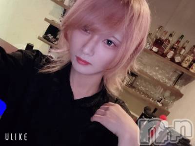 ��Į�ۥ��ȡ��ܡ������С�A151(�����������ݥ���) ��򥷥��7��16���̥�֥����֥���������ߤޤ���