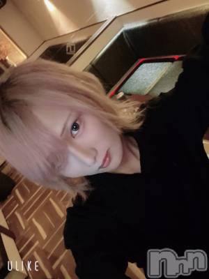 ��Į�ۥ��ȡ��ܡ������С�A151(�����������ݥ���) ��򥷥��7��28���̥�֥����ֽжФ�������