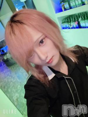 ��Į�ۥ��ȡ��ܡ������С�A151(�����������ݥ���) ��򥷥��8��2���̥�֥����ֽжФ�����