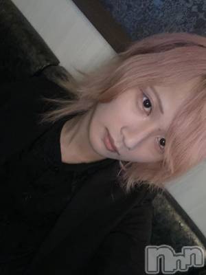 ��Į�ۥ��ȡ��ܡ������С�A151(�����������ݥ���) ��򥷥��8��7���̥�֥����֥��饳��ʤ���